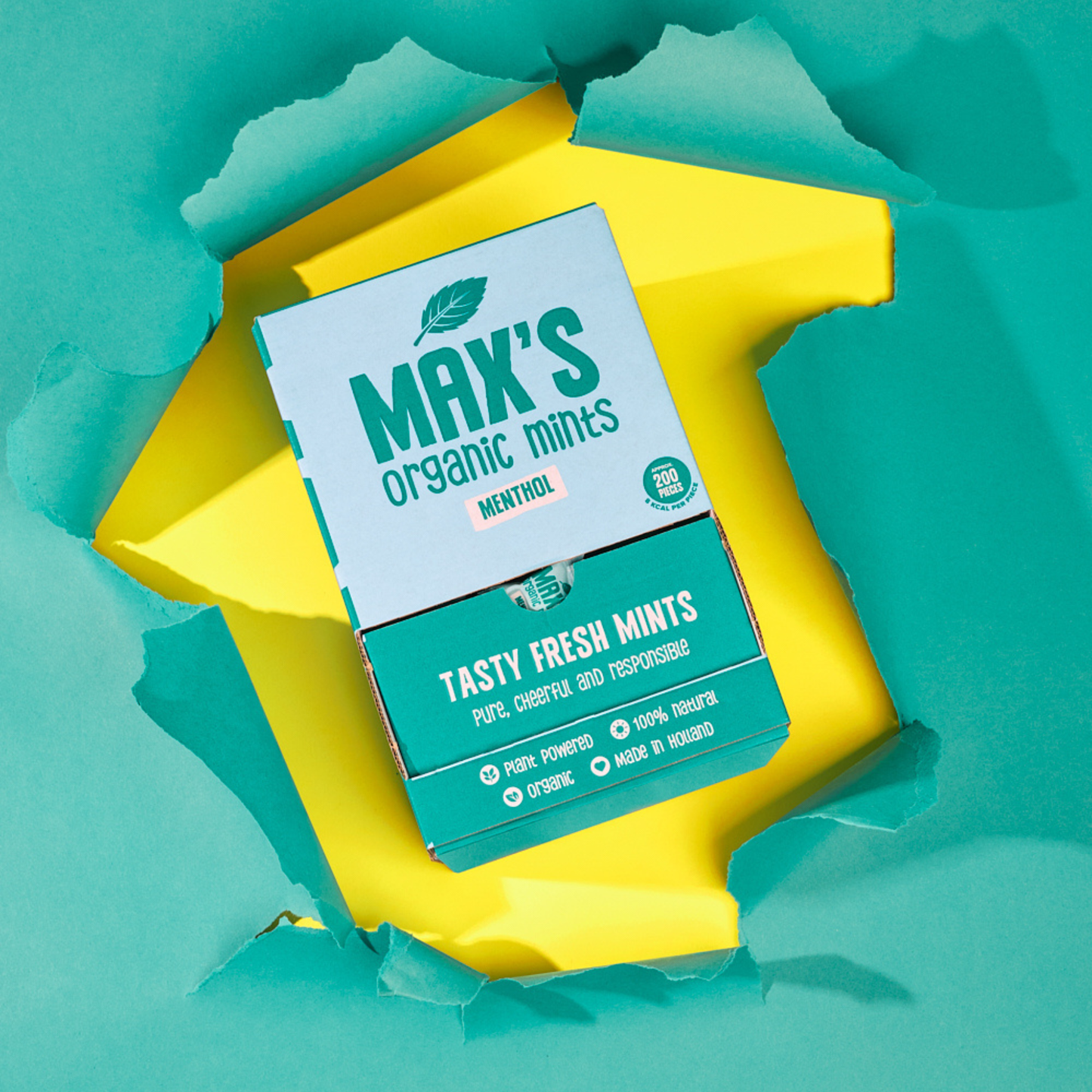 MAX'S Organic Mints Menthol bulkdisplay met 200 individueel verpakte biologische pepermuntjes in een lichtblauwe kartonnen dispenserverpakking.
